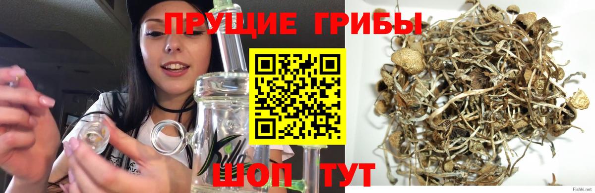 Галлюциногенные грибы мицелий Трёхгорный